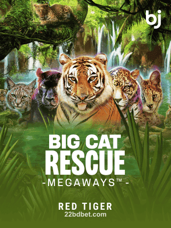 Big Cat Rescue Megaways™png Slot Game